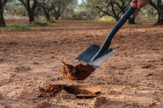 αλατοτητα εδαφους τροποι αντιμετωπισης